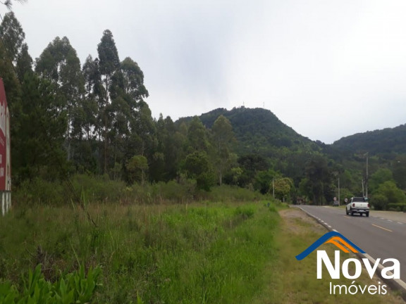 Imagem Imóvel à Venda, 10.211 m² em Linha Araripe - Nova Petrópolis