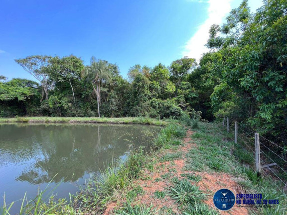 Imagem Chácara à Venda, 1 m² em Setor Central - São Miguel Do Passa Quatro Imagem Chácara à Venda, 1 m² em Setor Central - São Miguel Do Passa Quatro