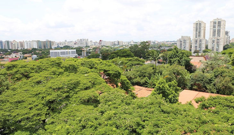 Imagem Sala Comercial à Venda, 51 m² em Campo Belo - São Paulo Imagem Sala Comercial à Venda, 51 m² em Campo Belo - São Paulo