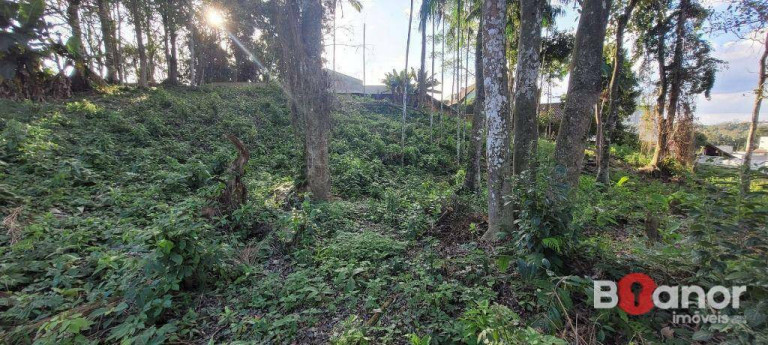 Imagem Terreno à Venda, 594 m² em Escola Agrícola - Blumenau Imagem Terreno à Venda, 594 m² em Escola Agrícola - Blumenau