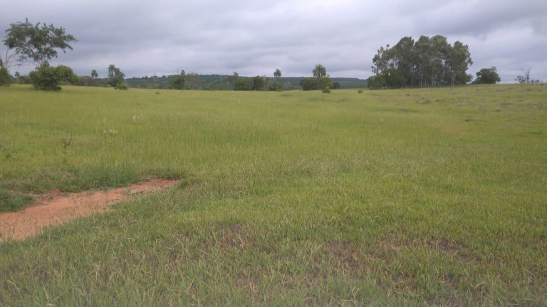 Imagem Fazenda à Venda, 42 m² em Rural - Avaré Imagem Fazenda à Venda, 42 m² em Rural - Avaré