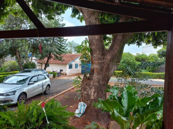 Imagem Imóvel com 1 Quarto à Venda, 2.200 m² em Jardim Do Trevo - Ribeirão Preto Imagem Imóvel com 1 Quarto à Venda, 2.200 m² em Jardim Do Trevo - Ribeirão Preto