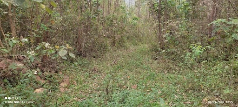 Imagem Chácara com 2 Quartos à Venda, 150 m² em Centro - Paraibuna Imagem Chácara com 2 Quartos à Venda, 150 m² em Centro - Paraibuna