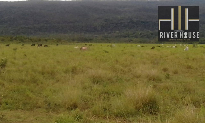 Imagem Fazenda à Venda, 74.300.000 m² em Vila Bom Jardim - Nobres