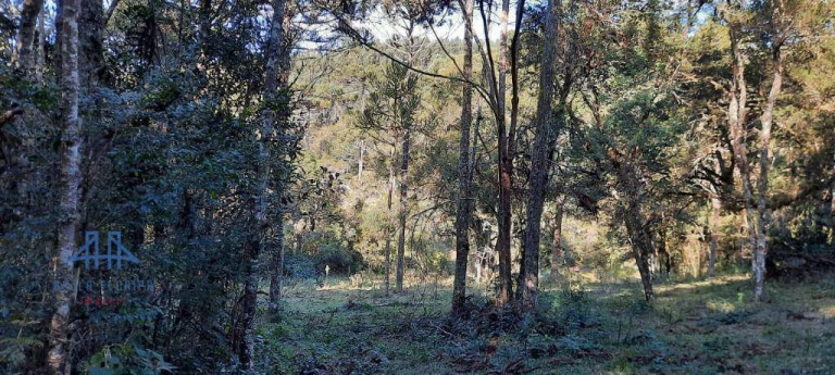 Terreno à Venda, 27.000 m² em Santo Antônio - Urubici