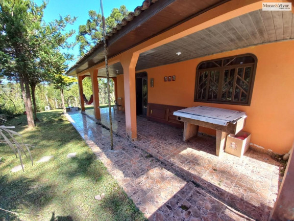 Imagem Imóvel à Venda, 8.000 m² em Zona Rural - Quatro Barras Imagem Imóvel à Venda, 8.000 m² em Zona Rural - Quatro Barras