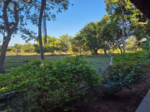 Imagem Fazenda à Venda, 350 m² em Cuiabá