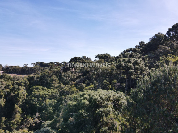 Imagem Terreno à Venda, 4.300 m² em Região Do Alto Da Boa Vista - Campos Do Jordão Imagem Terreno à Venda, 4.300 m² em Região Do Alto Da Boa Vista - Campos Do Jordão