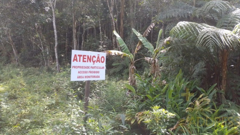 Imagem Imóvel com 1 Quarto à Venda, 20.000 m² em Marechal Floriano - Marechal Floriano