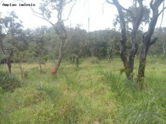 Imagem Terreno à Venda, 4 m² em Duque De Caxias - Mateus Leme