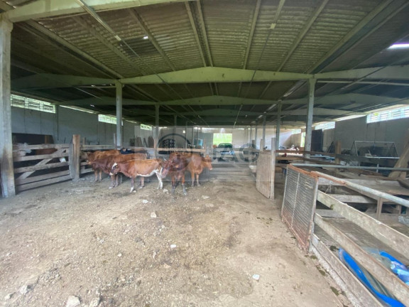 Imagem Imóvel com 6 Quartos à Venda, 3.000 m² em Distrito Industrial - Campina Grande Do Sul Imagem Imóvel com 6 Quartos à Venda, 3.000 m² em Distrito Industrial - Campina Grande Do Sul