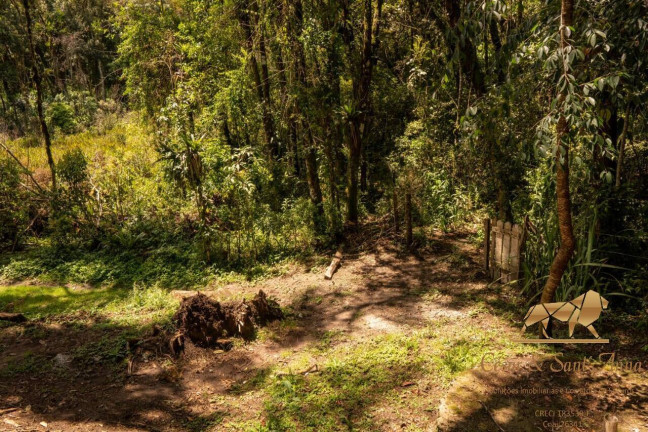 Imagem Terreno à Venda, 3.132 m² em Campos Do Jordão Imagem Terreno à Venda, 3.132 m² em Campos Do Jordão