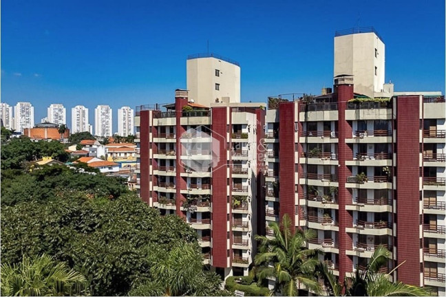 Imagem Imóvel com 3 Quartos à Venda, 265 m² em Morumbi - São Paulo Imagem Imóvel com 3 Quartos à Venda, 265 m² em Morumbi - São Paulo