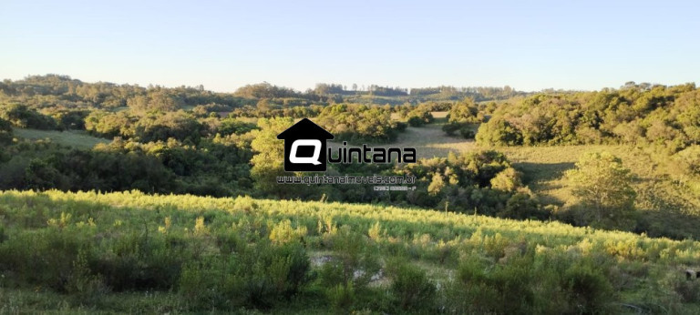 Imagem Imóvel com 1 Quarto à Venda, 230.000 m² em Santo Amor - Morro Redondo