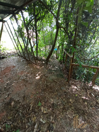 Imagem Imóvel com 4 Quartos à Venda, 19.745 m² em Bonanza - Santa Luzia Imagem Imóvel com 4 Quartos à Venda, 19.745 m² em Bonanza - Santa Luzia
