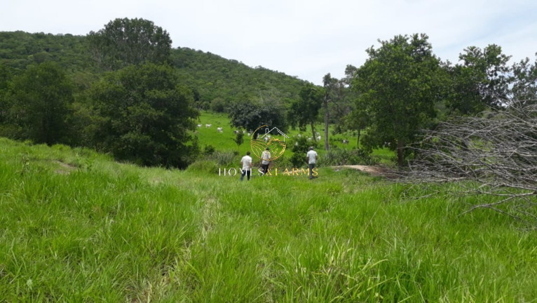 Imóvel com 3 Quartos à Venda,  em Zona Rural - Crixás