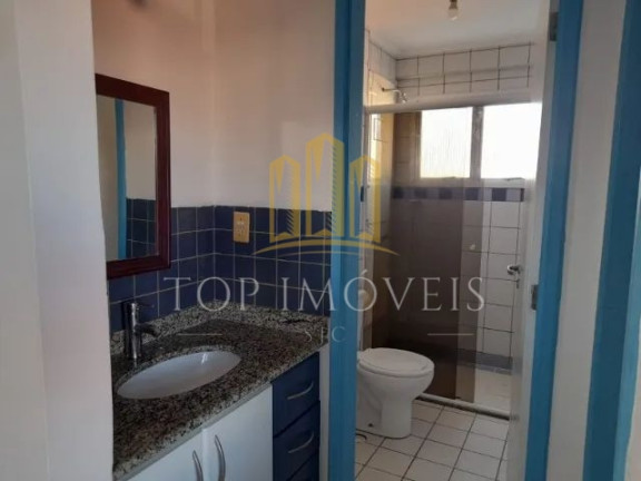 Imagem Apartamento com 1 Quarto para Alugar, 40 m² em Jardim São Dimas - São José Dos Campos Imagem Apartamento com 1 Quarto para Alugar, 40 m² em Jardim São Dimas - São José Dos Campos