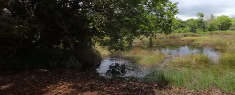 Imagem Imóvel com 5 Quartos à Venda, 71.000 m² em Village Do Sol - Guarapari
