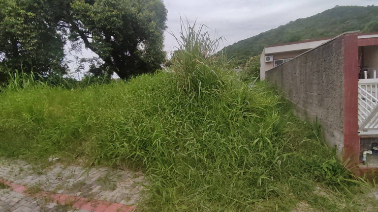Imagem Terreno à Venda, 288 m² em Zimbros - Bombinhas Imagem Terreno à Venda, 288 m² em Zimbros - Bombinhas