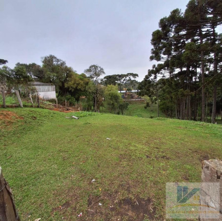 Imagem Terreno à Venda, 1.600 m² em Colonia Murici - São José Dos Pinhais