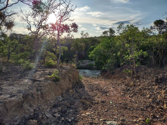 Imagem Fazenda à Venda, 1.046 m² em Arinos - Arinos Imagem Fazenda à Venda, 1.046 m² em Arinos - Arinos