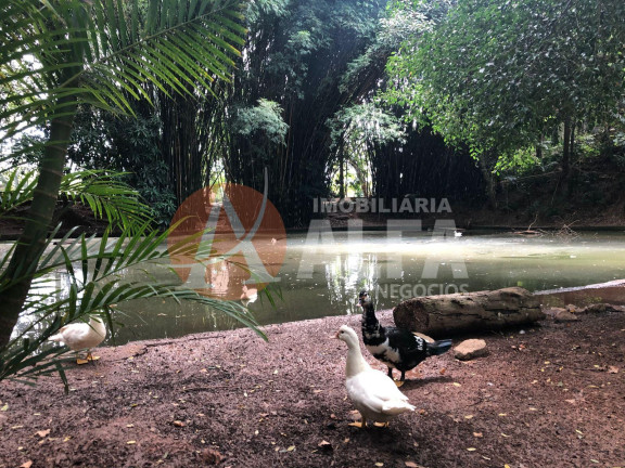 Imagem Casa com 3 Quartos à Venda, 47 m² em Chácara Pavoeiro - Cotia Imagem Casa com 3 Quartos à Venda, 47 m² em Chácara Pavoeiro - Cotia