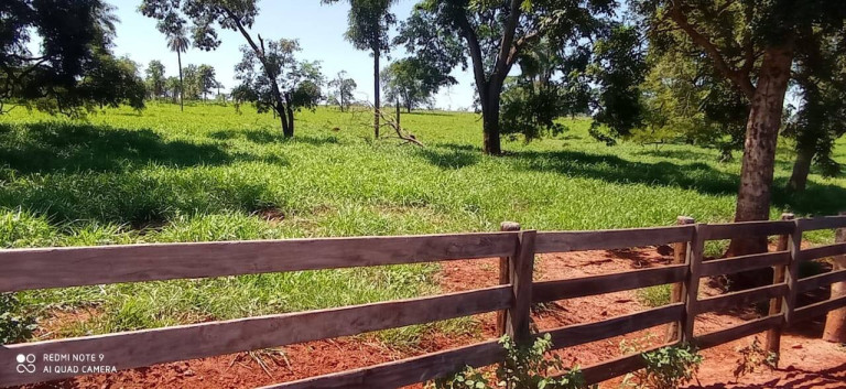 Imagem Fazenda à Venda, 106 m² em Mg - Iturama