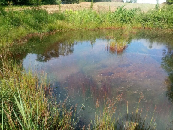 Imagem Terreno à Venda, 4 m² em Pinhal Alto - Nova Petrópolis
