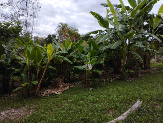 Imagem Terreno à Venda, 1 m² em Jardim Cananéia - Pilar Do Sul Imagem Terreno à Venda, 1 m² em Jardim Cananéia - Pilar Do Sul