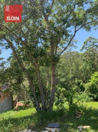 Imagem Terreno à Venda, 652 m² em Paysage Noble - Vargem Grande Paulista Imagem Terreno à Venda, 652 m² em Paysage Noble - Vargem Grande Paulista