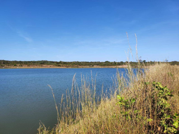 Imagem Fazenda à Venda, em Nossa Senhora Do Livramento Imagem Fazenda à Venda, em Nossa Senhora Do Livramento