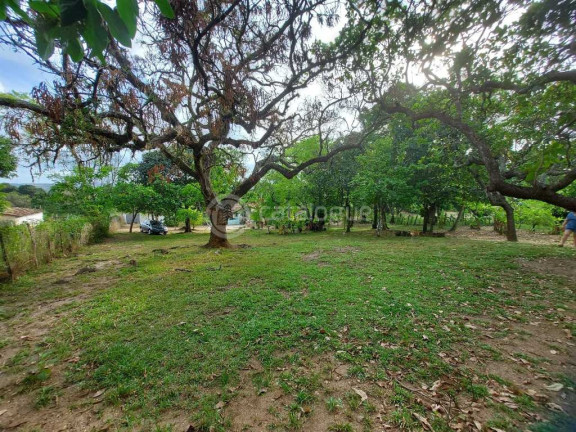 Imagem Fazenda à Venda, 2.000 m² em Zona Rural - São José De Mipibu Imagem Fazenda à Venda, 2.000 m² em Zona Rural - São José De Mipibu