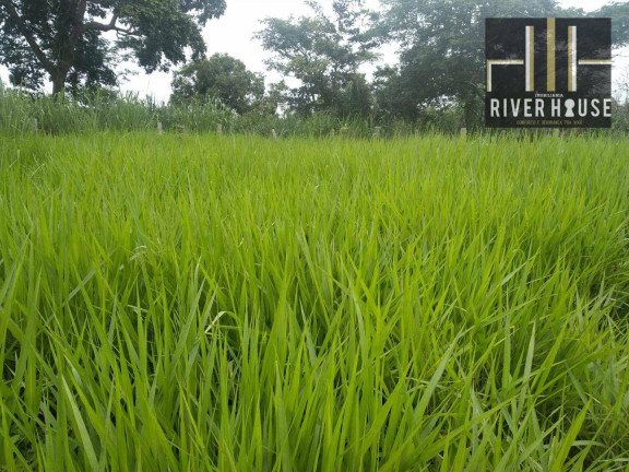 Imagem Fazenda à Venda, 800.000 m² em Zona Rural - Santo Antônio Do Leverger Imagem Fazenda à Venda, 800.000 m² em Zona Rural - Santo Antônio Do Leverger