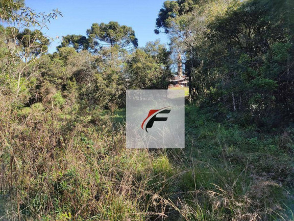 Imagem Terreno à Venda, 14.275 m² em Umbará - Curitiba Imagem Terreno à Venda, 14.275 m² em Umbará - Curitiba