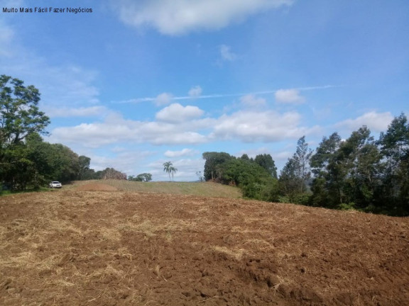 Terreno à Venda, 4 m² em Pinhal Alto - Nova Petrópolis