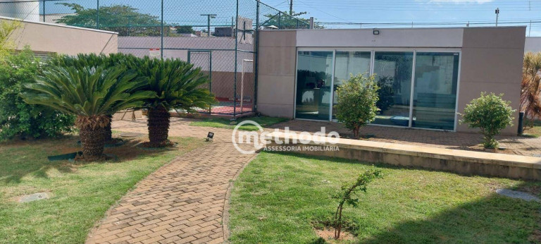 Imagem Apartamento com 3 Quartos à Venda, 68 m² em Residencial Parque Da Fazenda - Campinas Imagem Apartamento com 3 Quartos à Venda, 68 m² em Residencial Parque Da Fazenda - Campinas