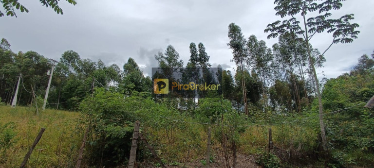 Imagem Imóvel com 7 Quartos à Venda, 38.588 m² em Santa Luzia - Charqueada