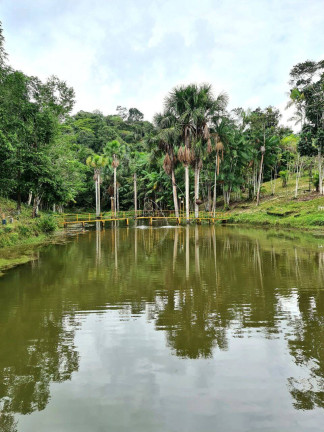 Imagem Imóvel Comercial à Venda, 400.000 m² em Manaus
