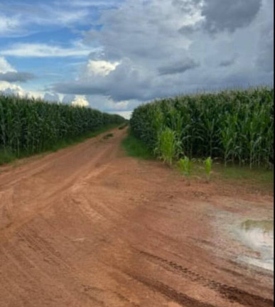 Imagem Terreno à Venda, 200 m² em Sorriso Imagem Terreno à Venda, 200 m² em Sorriso