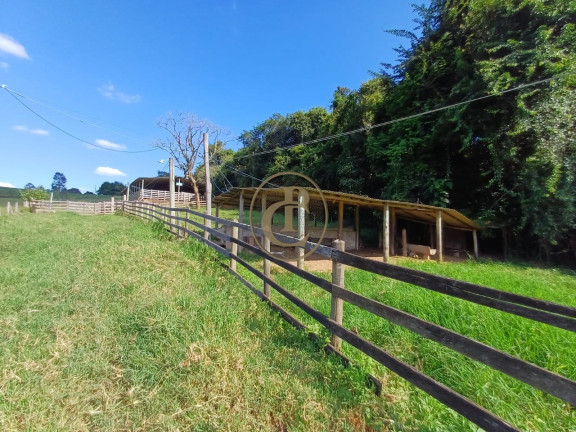 Imagem Fazenda à Venda, em Palmital - São Luíz Do Paraitinga Imagem Fazenda à Venda, em Palmital - São Luíz Do Paraitinga