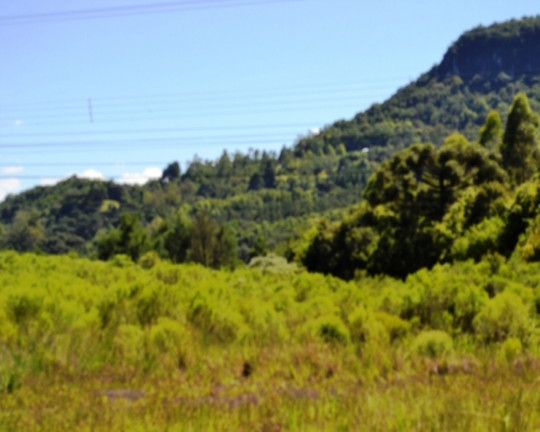Imagem Imóvel à Venda,  em Linha Araripe - Nova Petrópolis