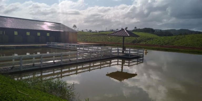 Imagem Fazenda à Venda, 120 m² em Centro - Sete Barras Imagem Fazenda à Venda, 120 m² em Centro - Sete Barras