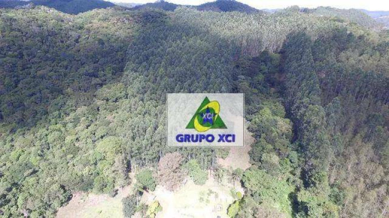 Imagem Fazenda à Venda, 200.000 m² em Pernambucana - Paraibuna Imagem Fazenda à Venda, 200.000 m² em Pernambucana - Paraibuna