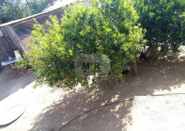 Imagem Casa com 3 Quartos à Venda, 120 m² em Vale Verde - Nova Petrópolis