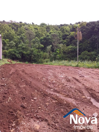 Imagem Imóvel à Venda, 672 m² em Pinhal Alto - Nova Petrópolis