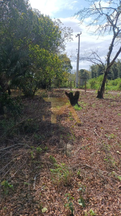 Imagem Terreno à Venda, em Alto Arroio - Imbituba Imagem Terreno à Venda, em Alto Arroio - Imbituba