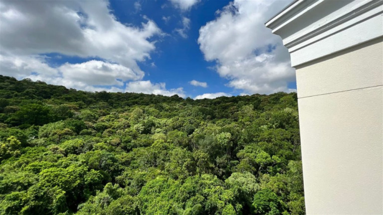 Imagem Apartamento com 2 Quartos à Venda, 64 m² em Tabuleiro - Camboriú