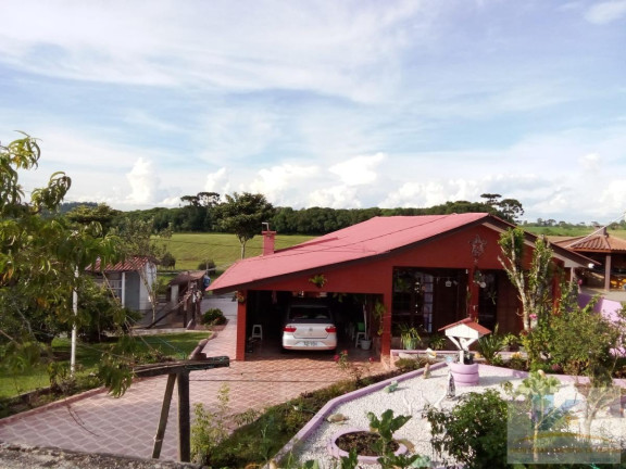 Imagem Casa com 2 Quartos à Venda, 65 m² em Campo Largo Da Roseira - São José Dos Pinhais Imagem Casa com 2 Quartos à Venda, 65 m² em Campo Largo Da Roseira - São José Dos Pinhais