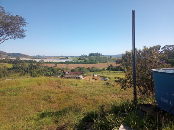 Imagem Chácara com 4 Quartos à Venda, 443 m² em Pitangueiras - Caldas
