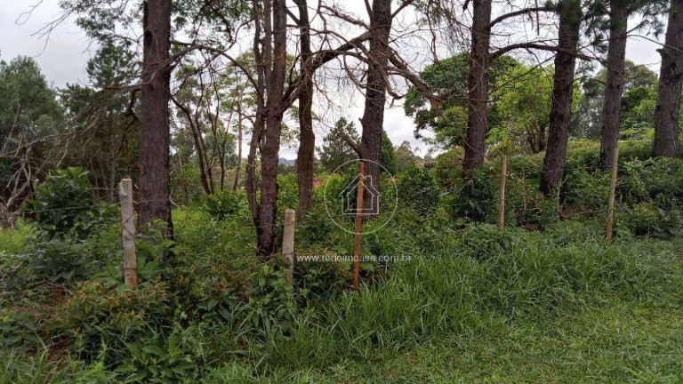 Imagem Terreno em Condomínio à Venda, 15.070 m² em Estoril - Nova Lima